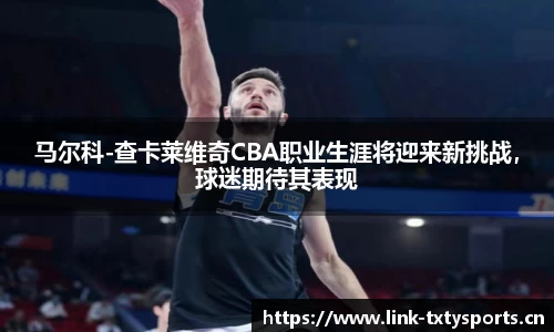 天行体育官网