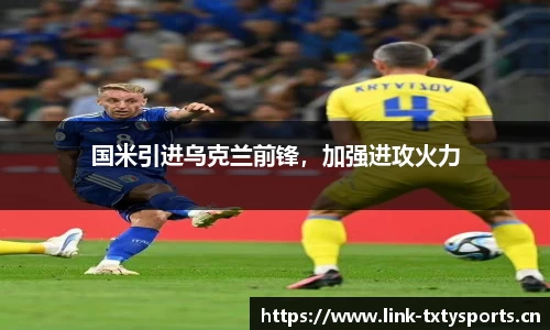 国米引进乌克兰前锋，加强进攻火力